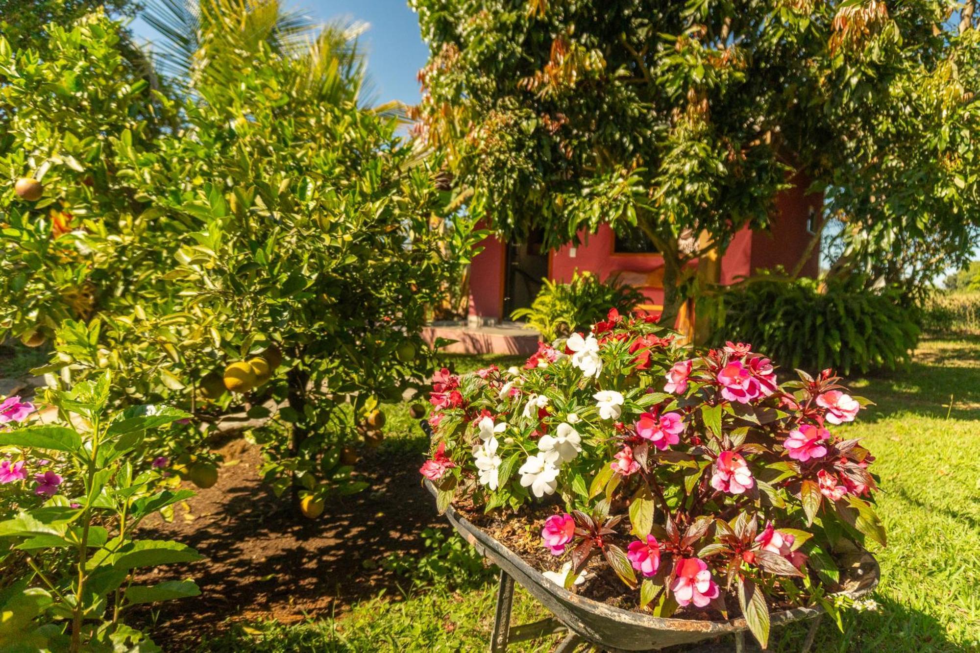 Vila Da Mata Chales Alto Paraíso de Goiás Zewnętrze zdjęcie