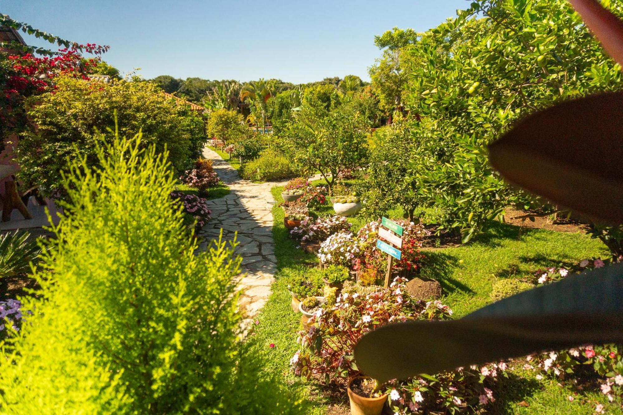 Vila Da Mata Chales Alto Paraíso de Goiás Zewnętrze zdjęcie